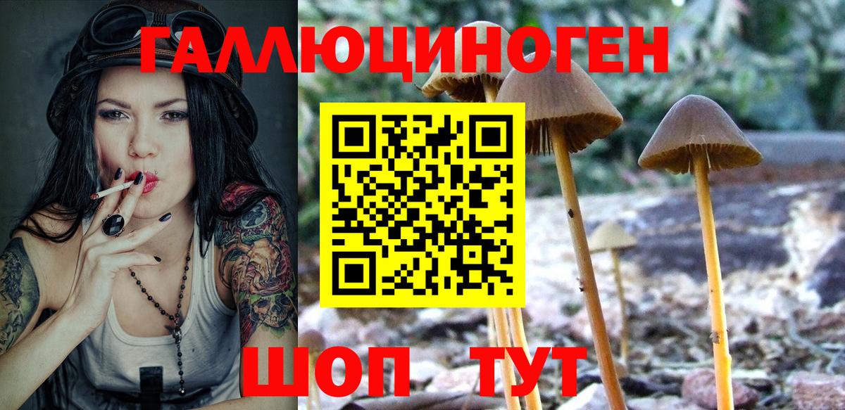 Псилоцибиновые грибы Cubensis Лыткарино